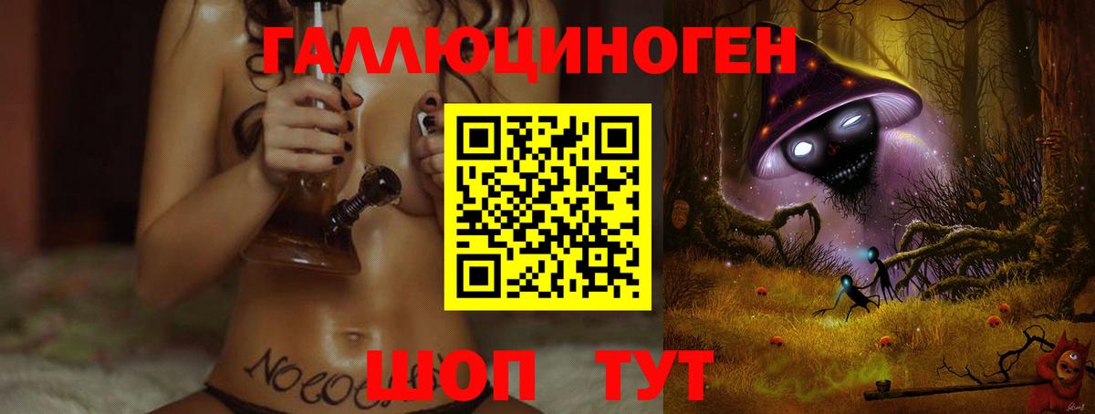 Псилоцибиновые грибы Psilocybine cubensis Нижнеудинск